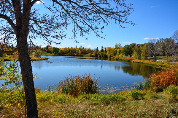 Broadmoor Lake Park
