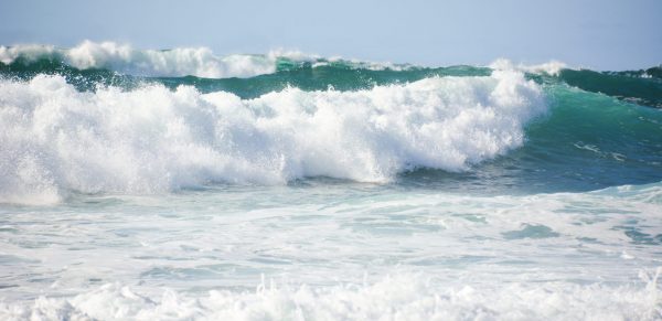 Hawaii Surf Waves