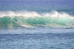 Hawaii Surf Waves