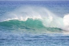 Hawaii Surf Waves
