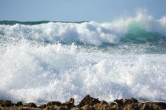 Hawaii Surf Waves