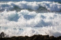 Hawaii Surf Waves