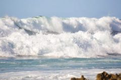 Hawaii Surf Waves