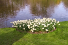 Ponds