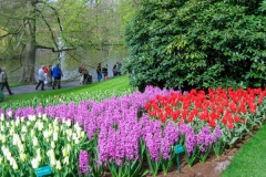 Pools, shrubs and blossoms