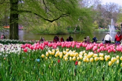 Flowers and Fountains