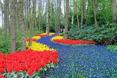 Blue pathway