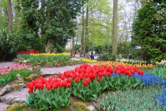 Stone Walkway