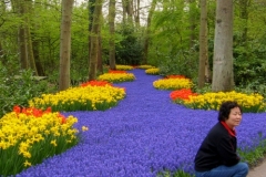 Photos among the Flowers