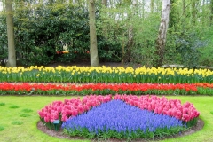 Wheel of flowers