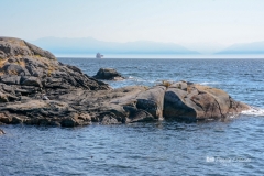 Rocky Shores