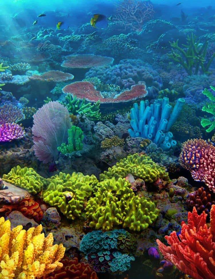 Great Barrier Reef